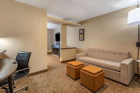 Comfort Inn & Suites North Dallas-Addison — photo 4