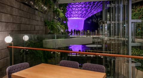 YOTELAIR Singapore Changi Airport Landside — lounge