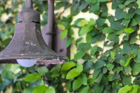 Almond Tree Inn - Adults Only — other