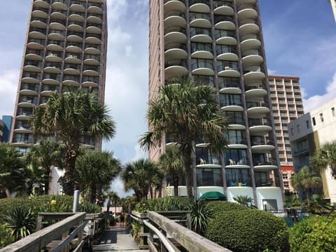 Palms Resort — photo 3
