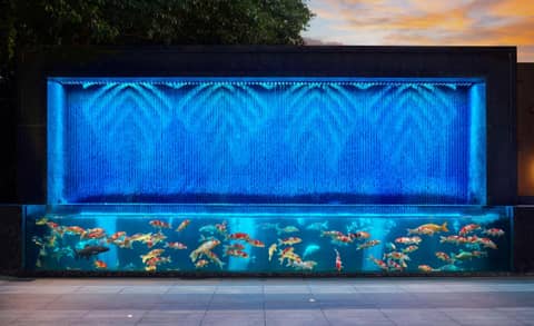 DoubleTree By Hilton Shenzhen Nanshan Hotel & Residences — photo 3