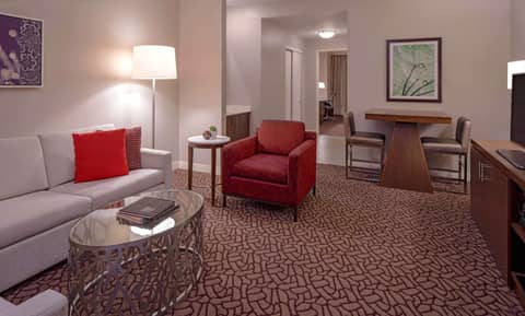 Hilton Garden Inn Downtown Dallas — photo 3