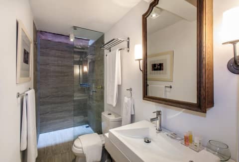Hotel Boutique Casa del Coliseo — photo 2