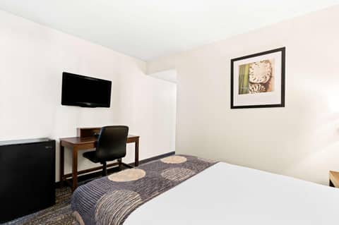 Best Western Yacht Harbor Hotel — photo 5