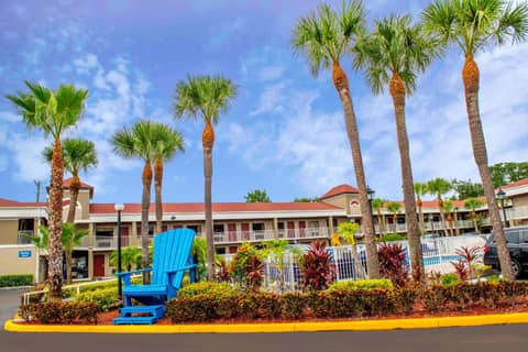 Hotel South Tampa & Suites — photo 3