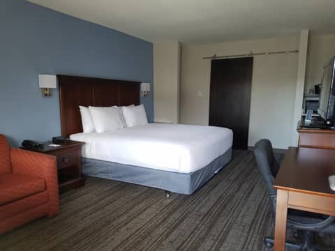 Hotel South Tampa & Suites — photo 5