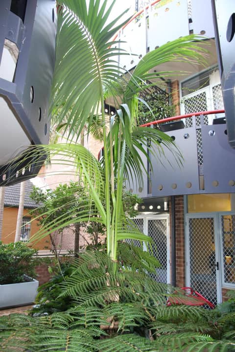Mariners Court Hotel Sydney — photo 8