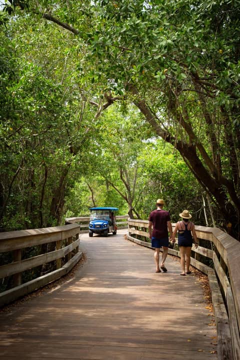 Naples Grande Beach Resort — photo 5