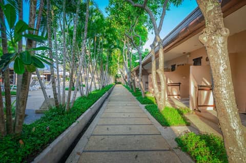 Phuket Kata Resotel — photo 9
