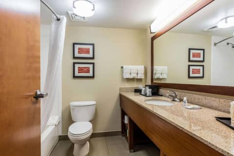 Comfort Inn & Suites Airport-American Way — bathroom