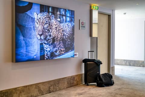 Mercure Hotel Berlin City — photo 2