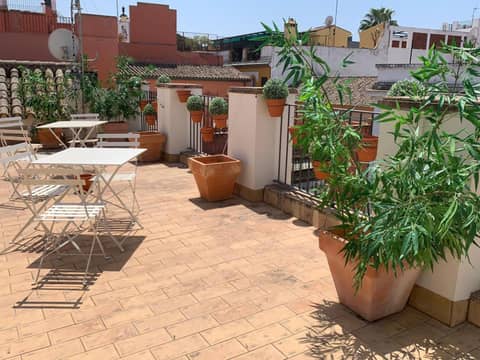 CSE Apartamentos Altamira — balance & terrace