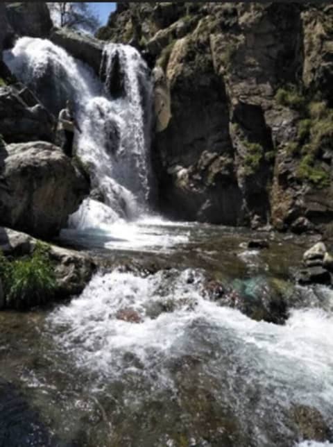 Dar Anika — photo 3