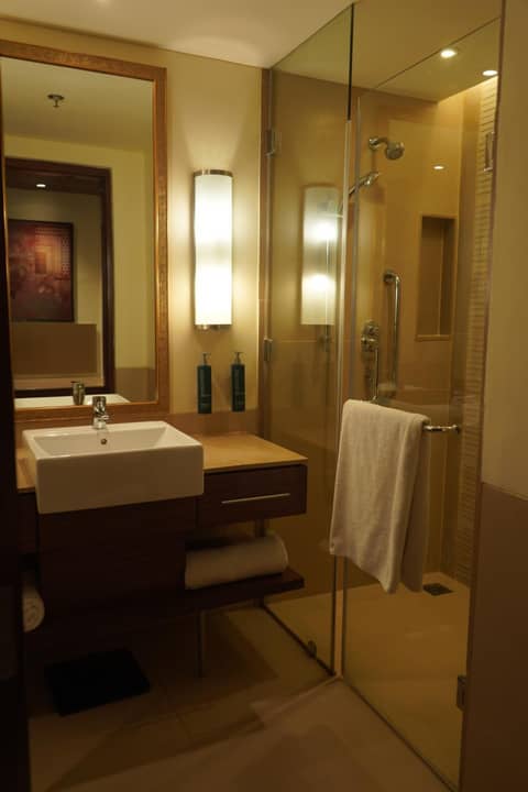 DoubleTree by Hilton Agra — photo 3