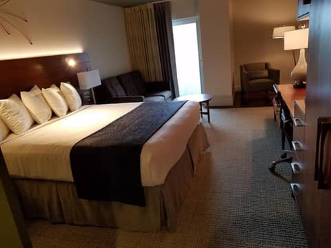 Alder Hotel Uptown New Orleans — photo 7
