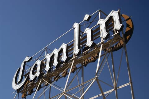 WorldMark Seattle - The Camlin — photo 3