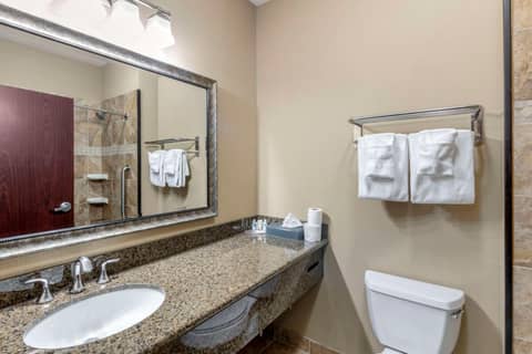 Comfort Inn & Suites Fort Worth - Fossil Creek — photo 8