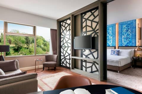 The Ritz-Carlton, Istanbul — photo 7