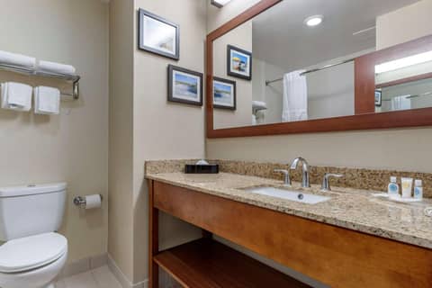 Comfort Suites Myrtle Beach Central — photo 6