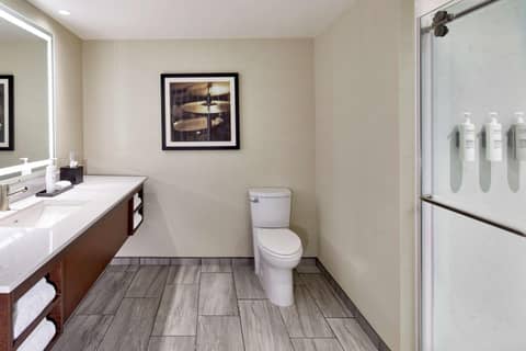 Embassy Suites by Hilton Nashville Downtown — photo 6