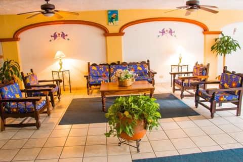 Vallartasol Hotel — photo 4