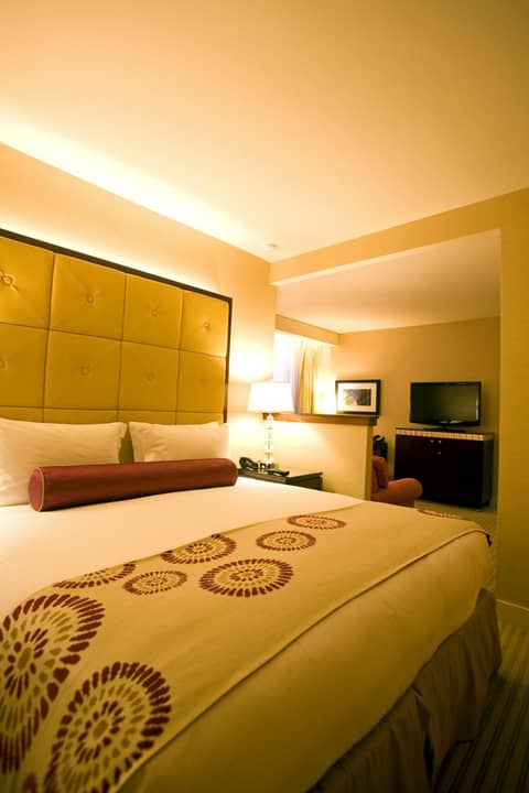 Millennium Hotel Knickerbocker Chicago — photo 9