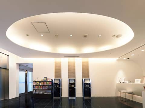 Sotetsu Fresa Inn Shimbashi-Karasumoriguchi — recepcion & lobby
