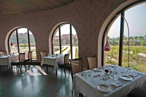 Tree of Life Resort & Spa, Jaipur — photo 6