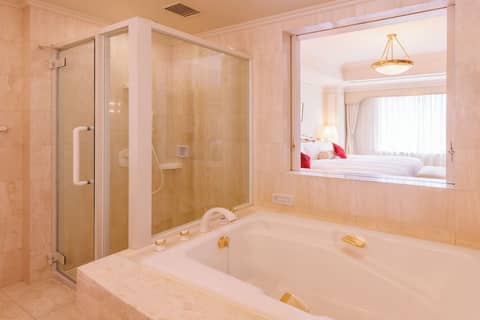 Daiichi Hotel Tokyo — photo 6