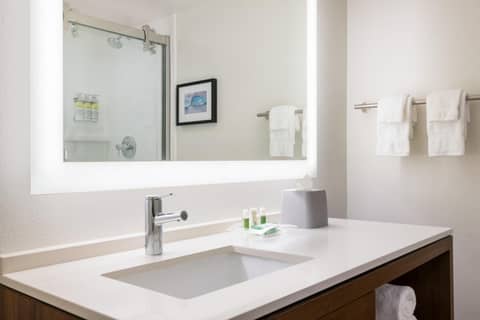 Doubletree By Hilton Fort Worth South — bathroom