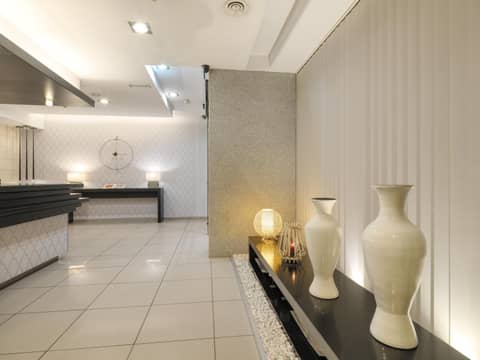 Hotel Guadalmedina — recepcion & lobby