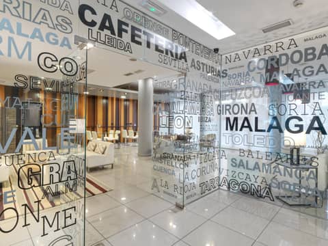 Hotel Guadalmedina — recepcion & lobby