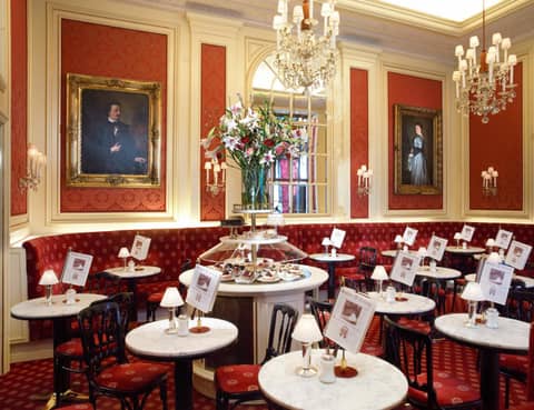 Hotel Sacher Wien — photo 7