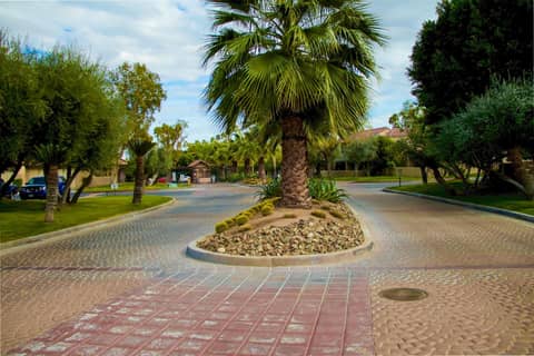 The Oasis Resort — photo 4