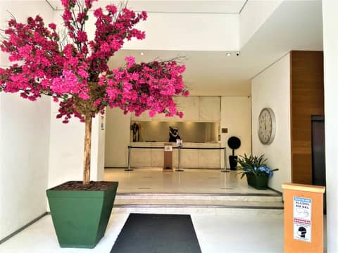 Hotel Normandie - by Easy Hotéis — recepcion & lobby