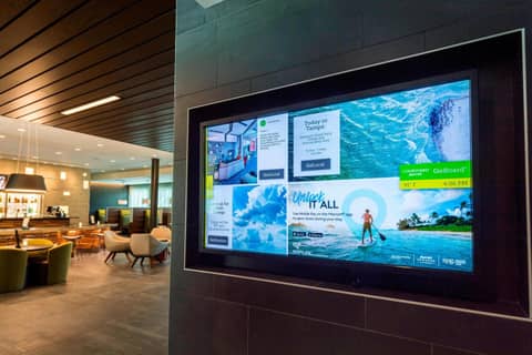 Courtyard by Marriott Tampa Northwest/Veterans Expressway — photo 4