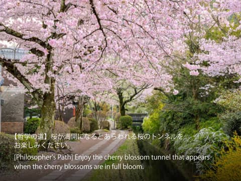 Hotel Resol Trinity Kyoto — photo 4