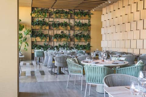 Grand Velas Boutique Hotel — dining