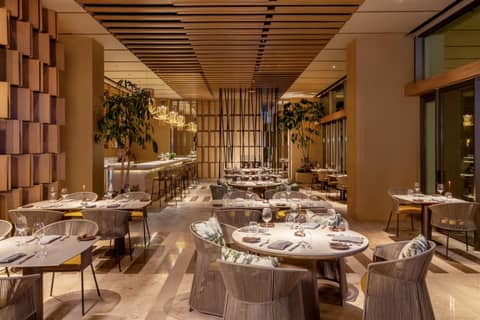 Grand Velas Boutique Hotel — photo 9