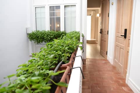 Honest Sevilla Apartments — balance & terrace