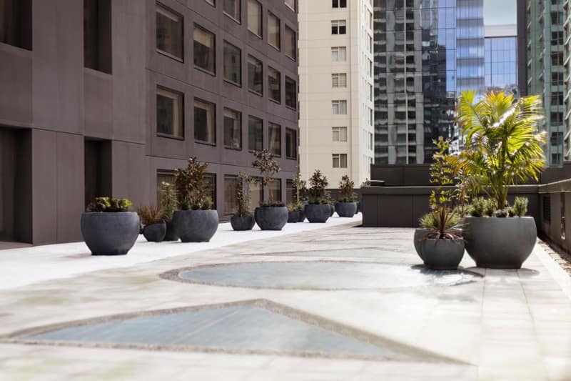 JW Marriott Auckland — balance & terrace