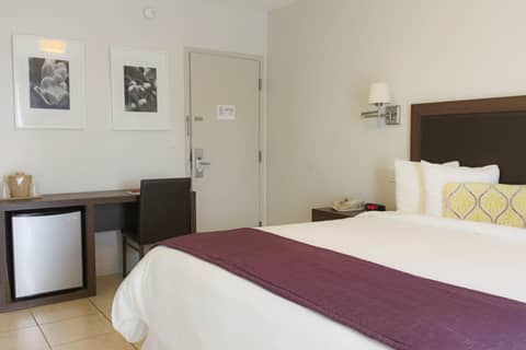 Collins Hotel — photo 9