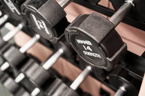 Schwan Locke — activities & amenities