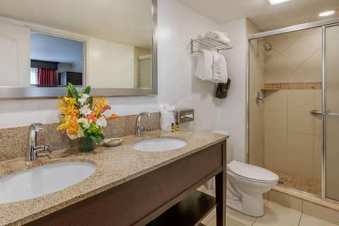 Best Western Plus Palm Beach Gardens Hotel & Suites and Conference Ct — photo 6