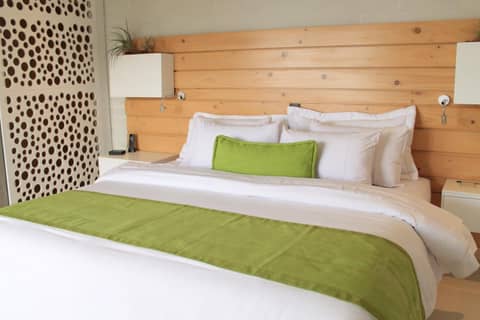 Terra Biohotel — photo 5