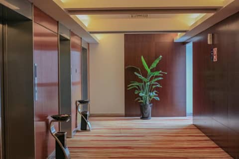 Holiday Inn Express Shanghai Putuo by IHG — photo 2