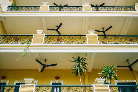 Golden Banana Residence — photo 8