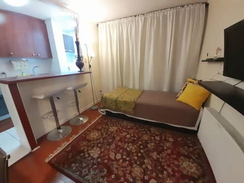VIP Apartments Chile — photo 7