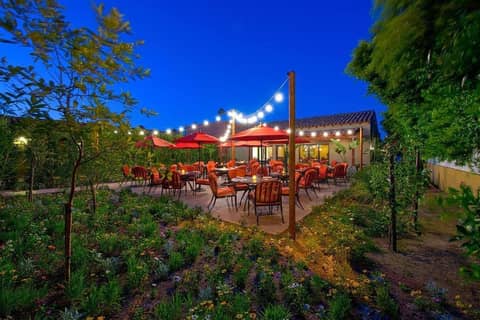 Los Arboles Hotel — photo 9