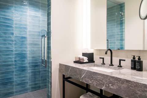 The Dalmar, Fort Lauderdale, a Tribute Portfolio Hotel — bathroom